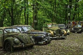 Car Cemetery, Oldtimer abandoned vehicles beneath trees