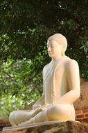 Beautiful, white Buddha statue in meditation, near the green trees in Sri Lanka