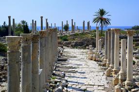 ruins site with columnar at sea, lebanon, tyre