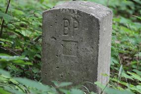 Landmark Stone
