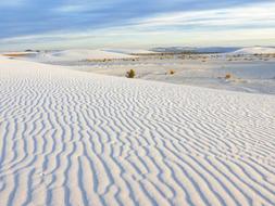 Scenic White Sand dunes