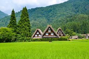 scenic village near forested mountain at summer, Japan, kawaguchi