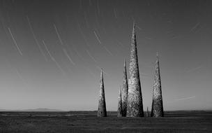 Monochrome picture of peaceful cones