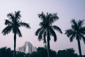 lotus building in Delhi
