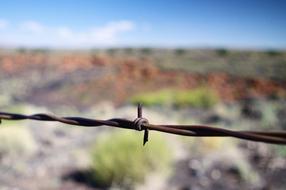 arizona barbed wire