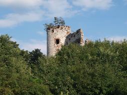 castle ruins overgrown with grass