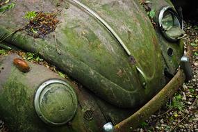 green Auto Car Cemetery