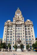 beautiful Liver Building