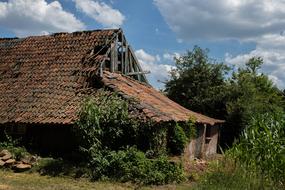 landscape of Old Building Expired