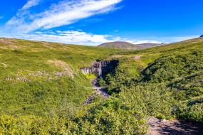 enchanting Iceland on the beautiful green landscape