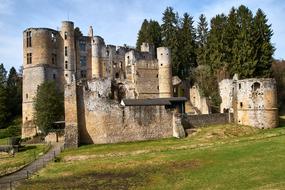 ruins of a medieval castle among green vegetation