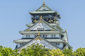 beautiful Castle Japan