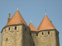 wonderful Castle France with red roof