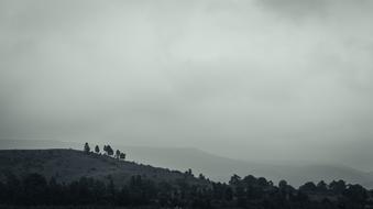 splendid Monochrome Sky