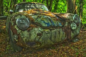 rusty green car in a forest