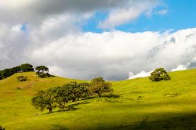 California Hills