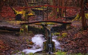 wooden bridge over a stream in the autumn forest