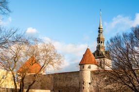 Tower Old Tallin