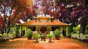 pagoda among trees in a park in asia