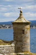 Tower Watchtower Sentry