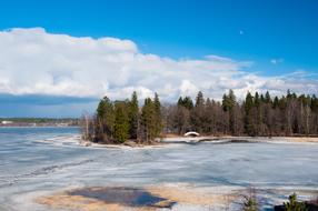 Panoramic landscape of Nature Trees on coast