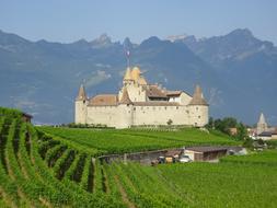 historical Aigle Castle in front of Mountains, switzwerland