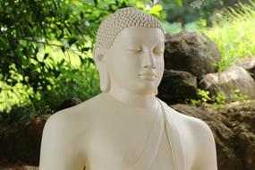 beautiful Meditation Buddha statue