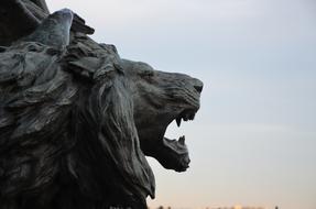 beautiful Sculpture lion