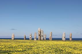 Wonderful Stone Monoliths among the beautiful yellow flowers and other nature