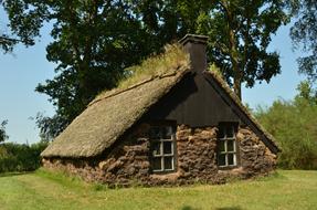 historic hut in the forest on a sunny day