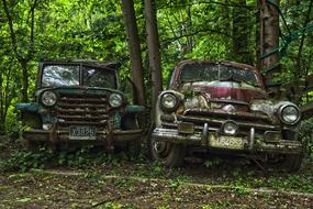 Car Cemetery forest