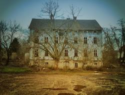 House Old stone and tree