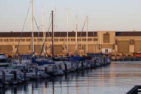 moored boats in bay at dusk, usa, California, San Francisco