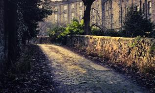 landscape of Cobblestone pavement on Alley in Scotland