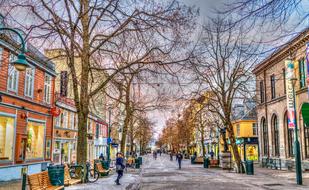 Trondheim Street