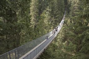 absolutely beautiful Suspension Bridge