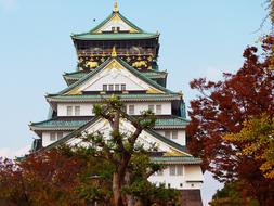 wonderful Castle Autumn