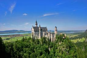 medieval castle in a green forest