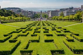 Lisbon green grass garden