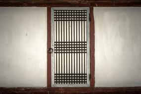 Straight Line and Wood Pattern door