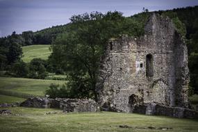 Ruins Ancient forest