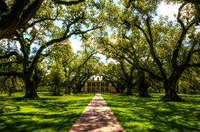 Beautiful Oak Alley Plantation in Louisiana, USA