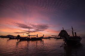 Boat Water pink
