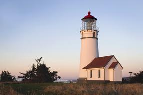 Lighthouse Tower tree lake