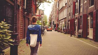 tourist while traveling on city street