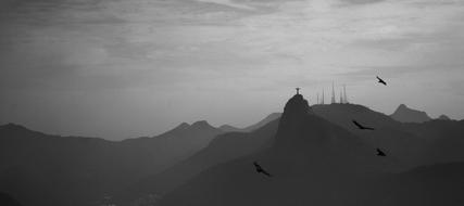 four big birds above scenic misty mountain landscape, Brasil, Rio De Janeiro