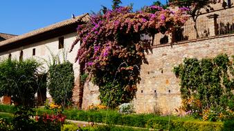 Spain, Granada, house