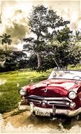 cuba oldtimer car