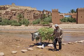 Morocco street person