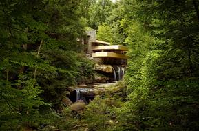 Fallingwater Pennsylvania forest